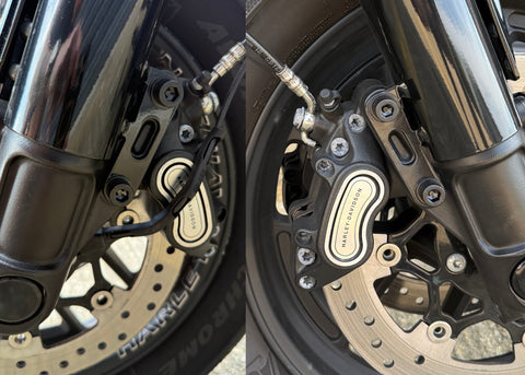 Dual Brake Caliper Bolts - Black - Harley Davidson Softail