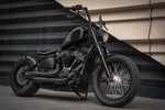 Dstar Radiator Grill - Softail