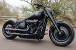 Harley-Davidson Milwaukee-Eight Black Stainless Steel Engine Bolt Kit - dstarcustoms