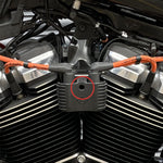 Coil Side Bolt - Black - Harley Davidson Sportster - Softail