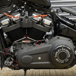 Left Side Engine Bolt Kit - Black - Harley Davidson Sportster - Softail